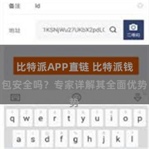 比特派APP直链 比特派钱包安全吗？专家详解其全面优势