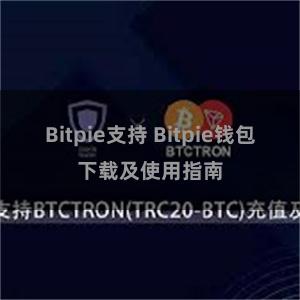 Bitpie支持 Bitpie钱包下载及使用指南