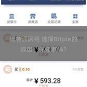 比特派网络 选择Bitpie的原因，你知道吗？