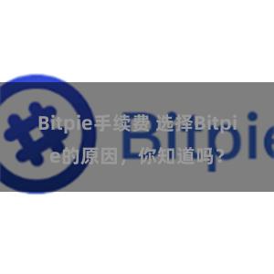 Bitpie手续费 选择Bitpie的原因，你知道吗？