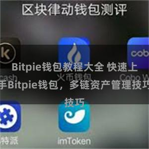 Bitpie钱包教程大全 快速上手Bitpie钱包，多链资产管理技巧