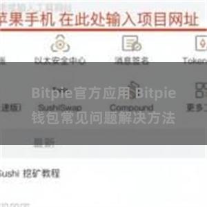 Bitpie官方应用 Bitpie钱包常见问题解决方法
