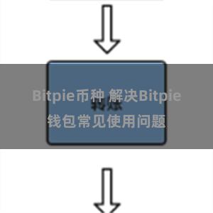 Bitpie币种 解决Bitpie钱包常见使用问题