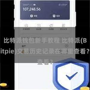 比特派钱包新手教程 比特派(Bitpie)交易历史记录在哪里查看？