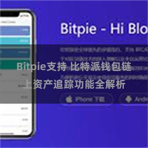 Bitpie支持 比特派钱包链上资产追踪功能全解析