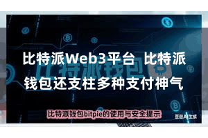 比特派Web3平台  比特派钱包还支柱多种支付神气