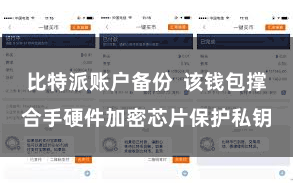 比特派账户备份  该钱包撑合手硬件加密芯片保护私钥