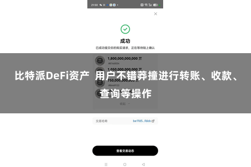 比特派DeFi资产  用户不错莽撞进行转账、收款、查询等操作