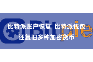 比特派账户恢复  比特派钱包还复旧多种加密货币