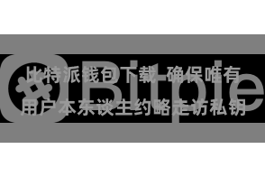 比特派钱包下载  确保唯有用户本东谈主约略走访私钥